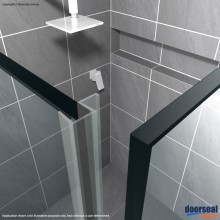 SH002 Shower Screen Seal (10mm glass)